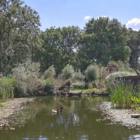 Reijgershof - Bali With Private Terrace Casa de hóspedes Amesterdão