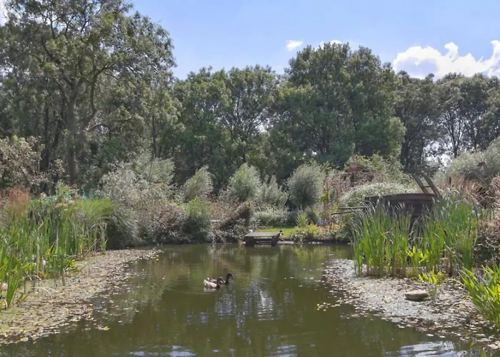 Reijgershof - Bali With Private Terrace Gasthuis Amsterdam