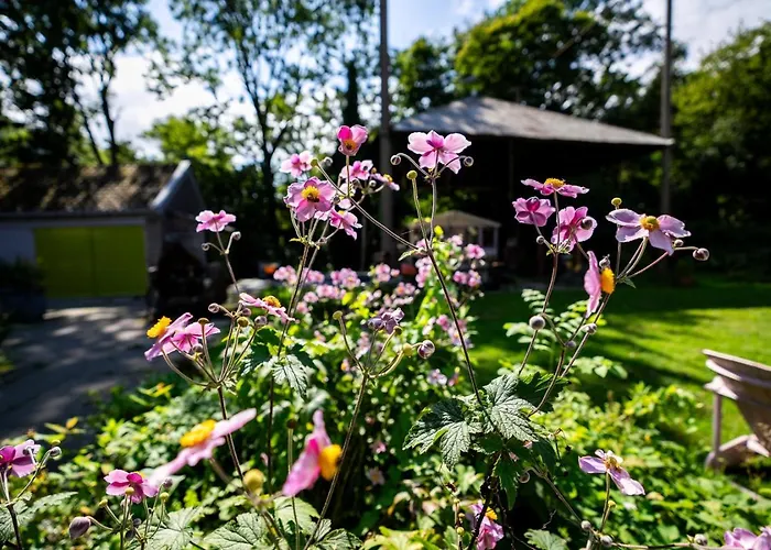 Gasthuis Reijgershof - Bali With Private Terrace 3*